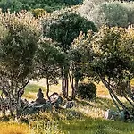 Chalé La Casetta Di Legno Nel Bosco By Interhome Porto San Paolo (Sardinia)