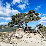 La Casetta Di Legno Nel Bosco By Interhome Porto San Paolo (Sardinia)