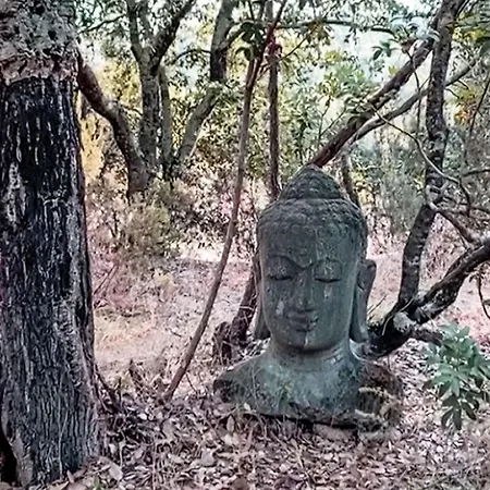 La Casetta Di Legno Nel Bosco By Interhome Loiri Porto San Paolo