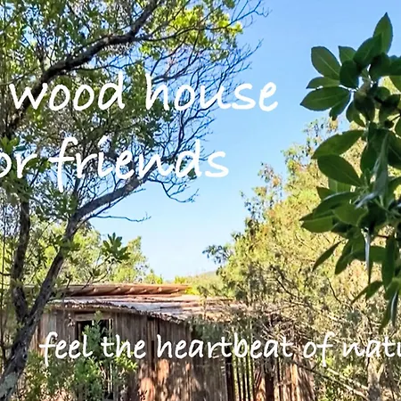 Chalet La Casetta Di Legno Nel Bosco By Interhome Loiri Porto San Paolo