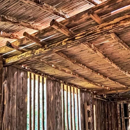 La Casetta Di Legno Nel Bosco By Interhome Chalet *